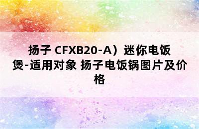 （YANGZI/扬子 CFXB20-A）迷你电饭煲-适用对象 扬子电饭锅图片及价格